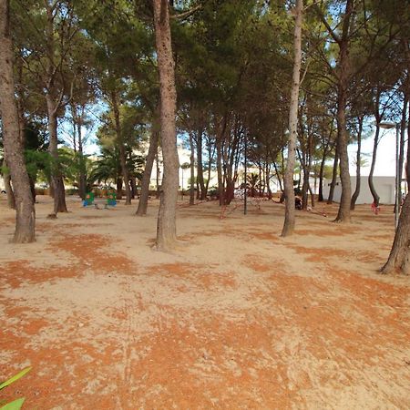 Family Seafront Apt Fantastic Seaview Pollença Eksteriør billede